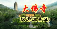 大鸡巴群交小骚比.中国浙江-新昌大佛寺旅游风景区